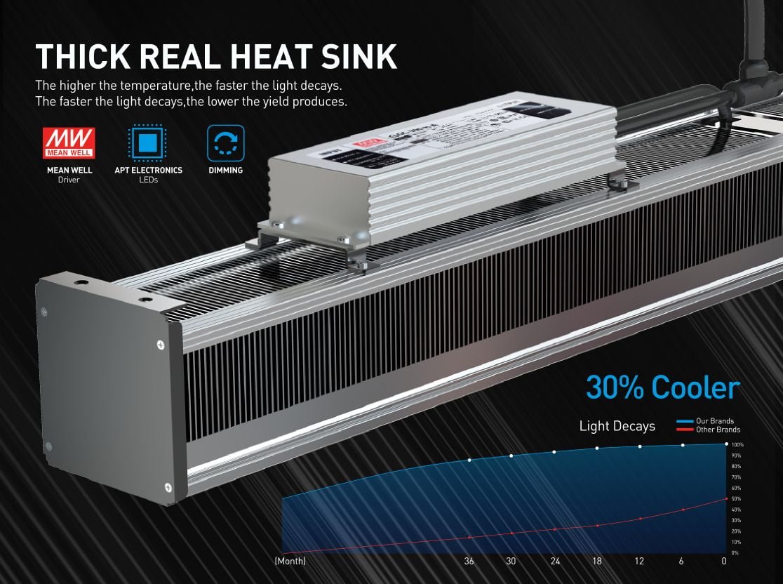 600w 4